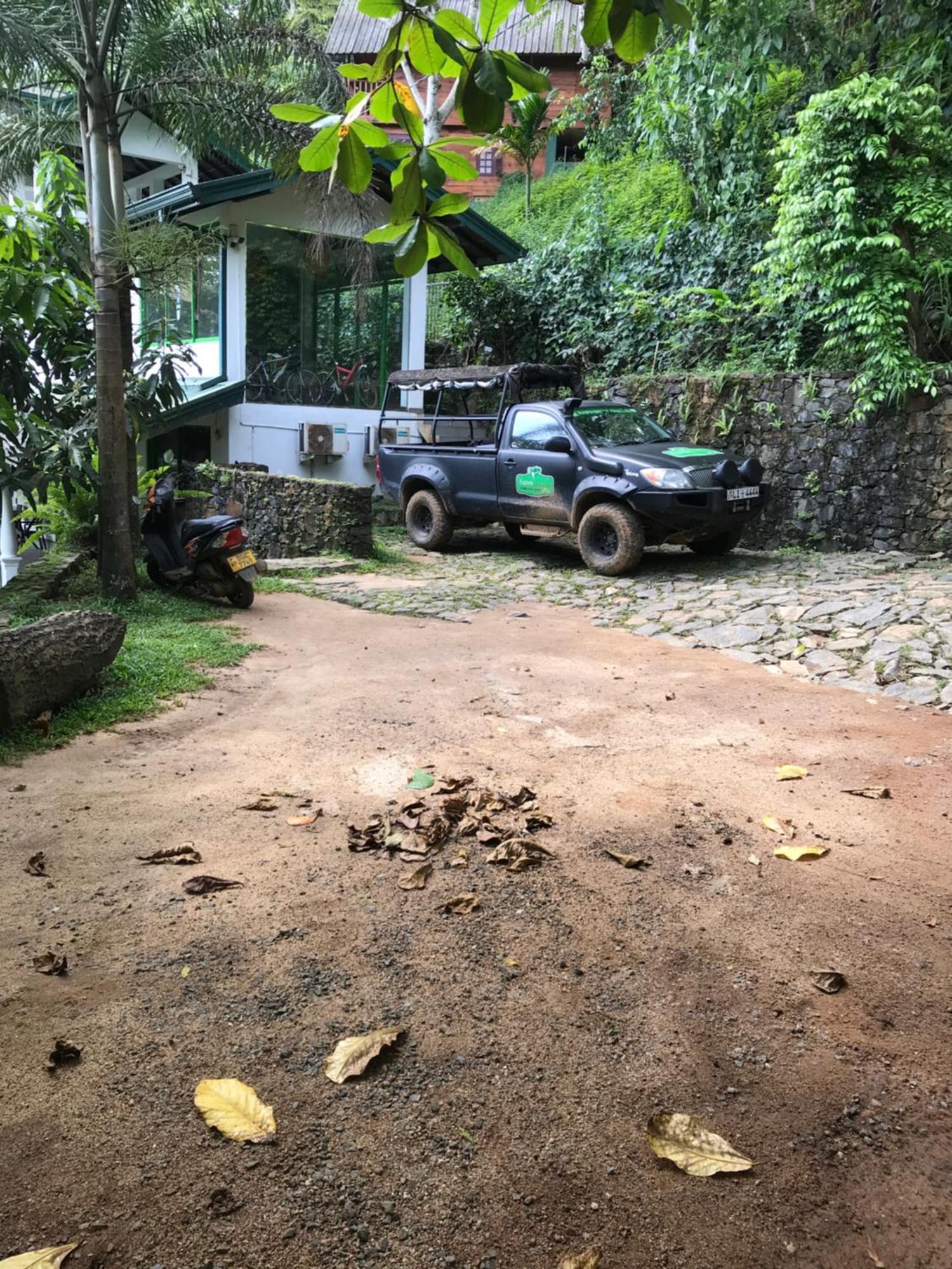 Explore Sinharaja Rain Forest Tour Camp Dombagoda Exterior foto