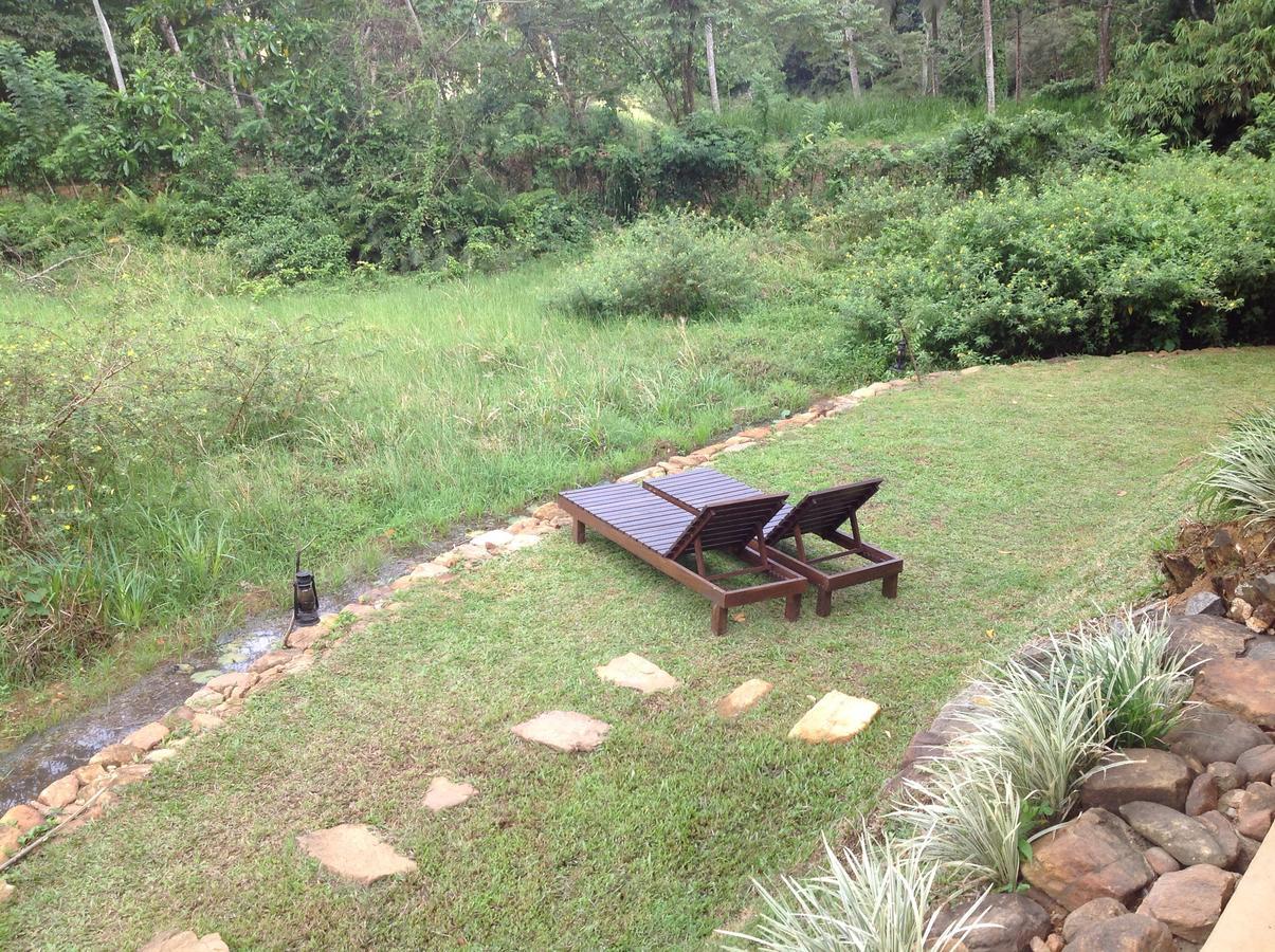 Explore Sinharaja Rain Forest Tour Camp Dombagoda Exterior foto