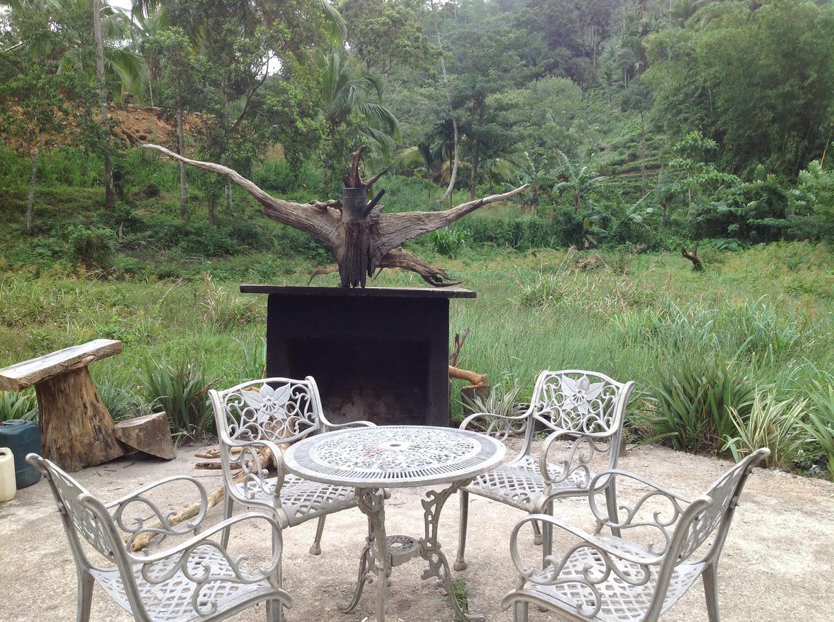 Explore Sinharaja Rain Forest Tour Camp Dombagoda Exterior foto