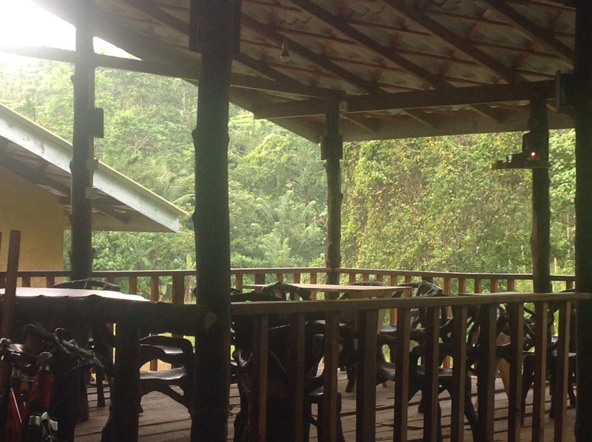 Explore Sinharaja Rain Forest Tour Camp Dombagoda Exterior foto