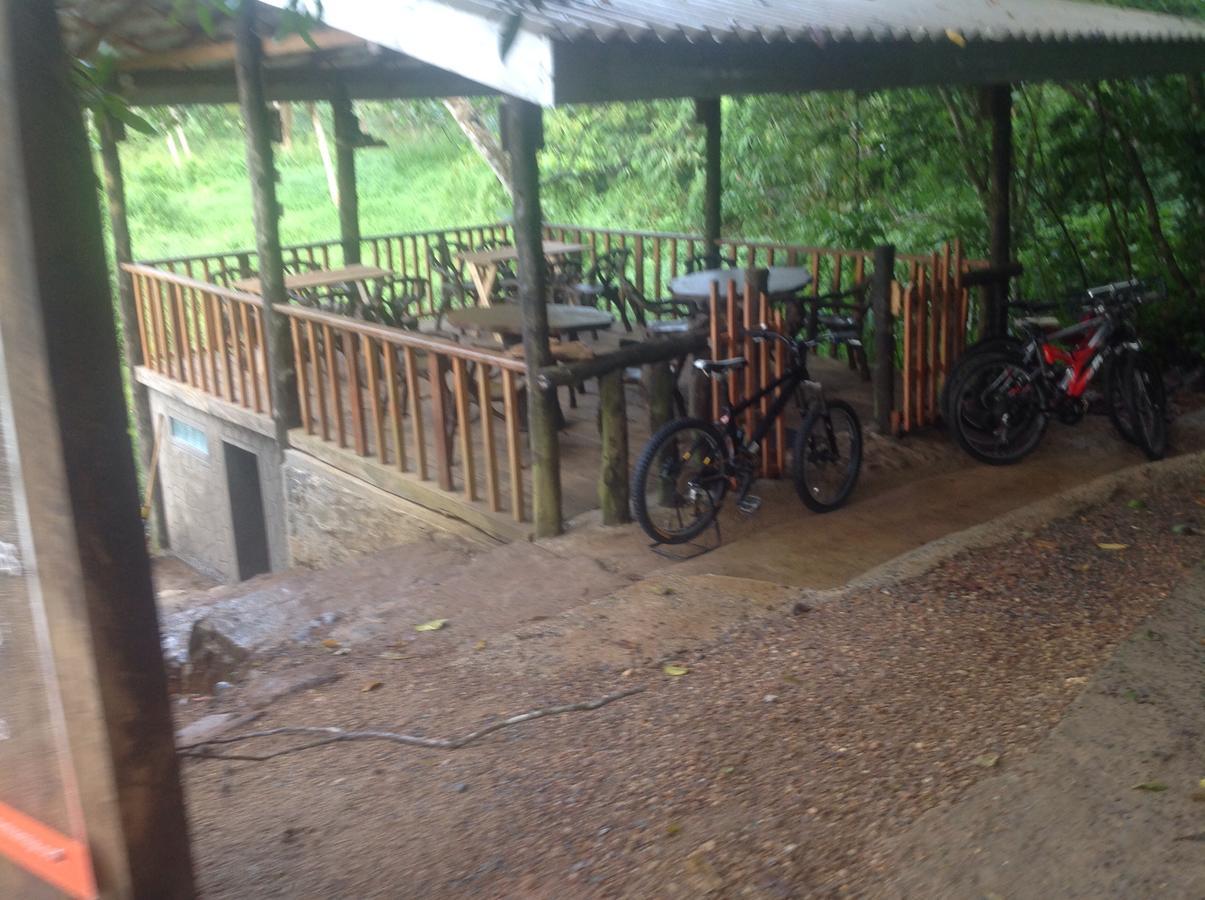 Explore Sinharaja Rain Forest Tour Camp Dombagoda Exterior foto