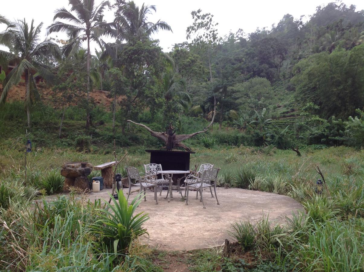Explore Sinharaja Rain Forest Tour Camp Dombagoda Exterior foto