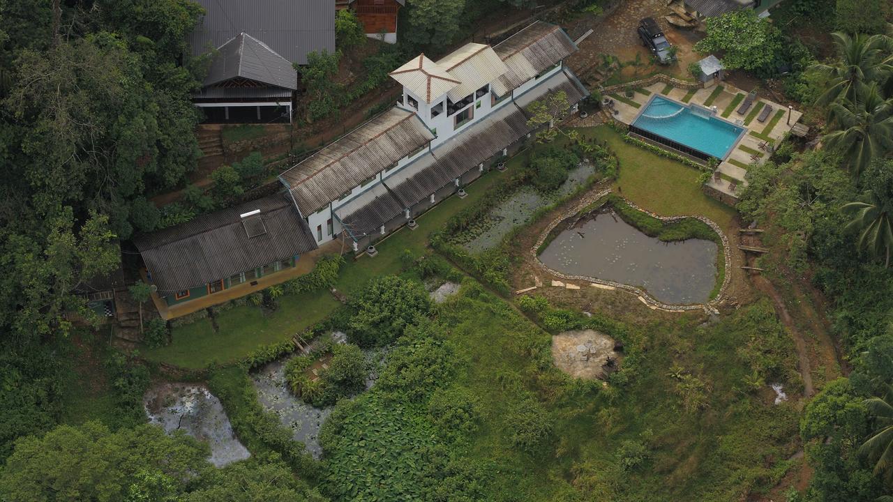 Explore Sinharaja Rain Forest Tour Camp Dombagoda Exterior foto