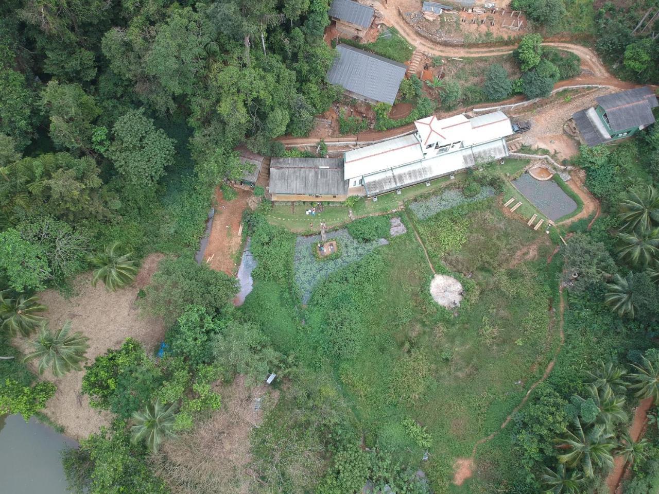 Explore Sinharaja Rain Forest Tour Camp Dombagoda Exterior foto
